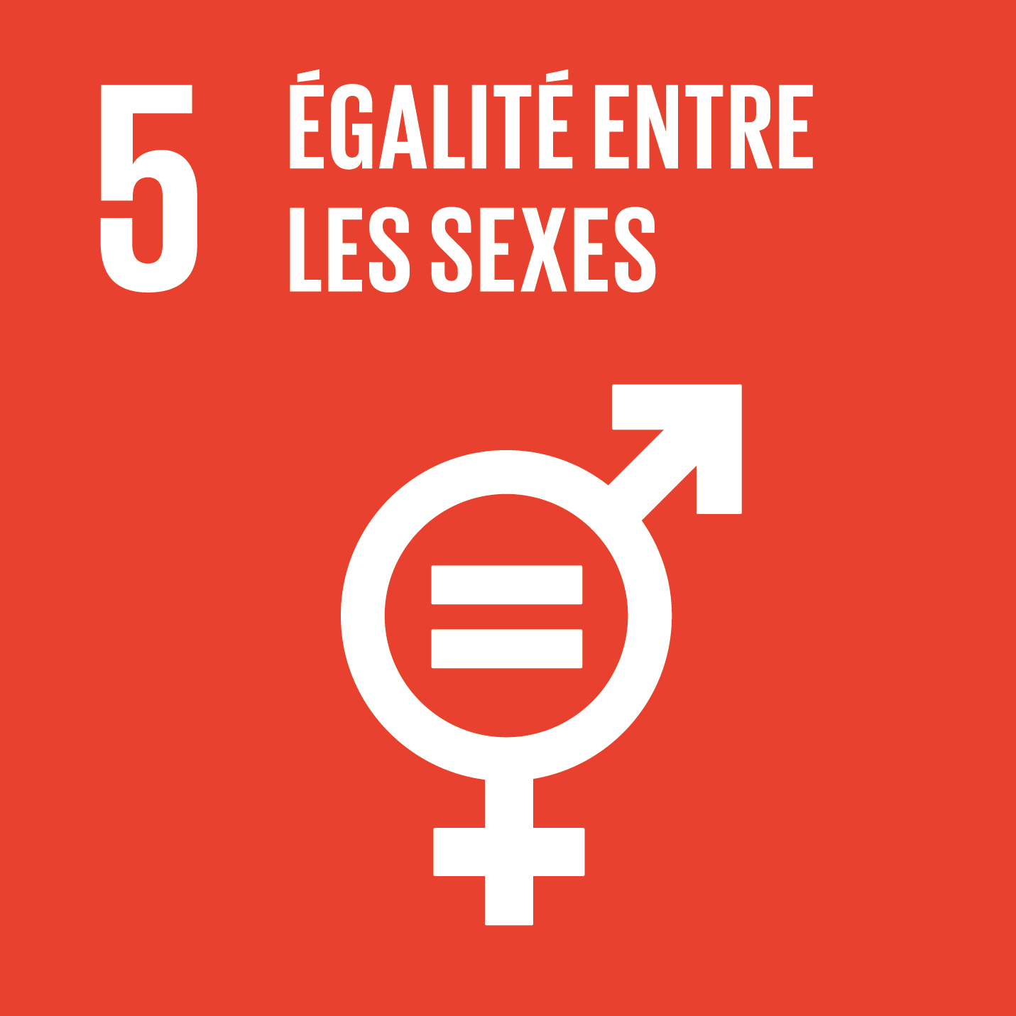 Visuel objectif de développement durable 5 égalité entre les sexes