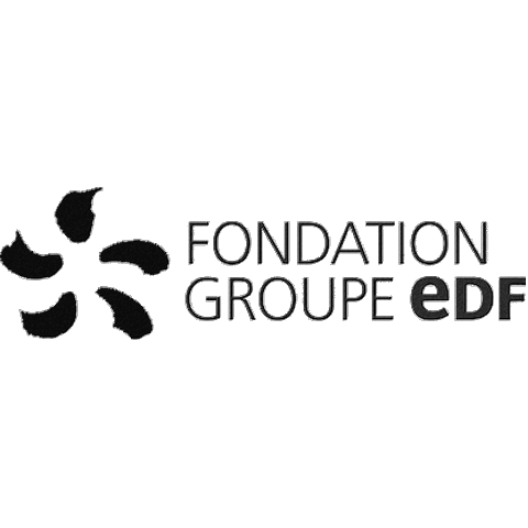 logo-fondation-groupe-edf